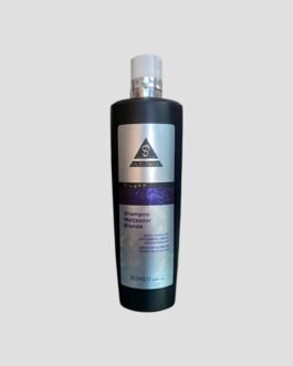 SILVER SH MATIZADOR 251mL